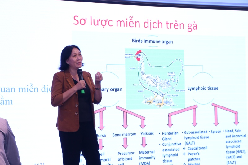 Vaxxitek® HVT+IBD+ND