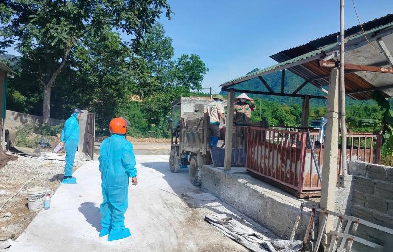 dịch tả lợn Phú Thọ