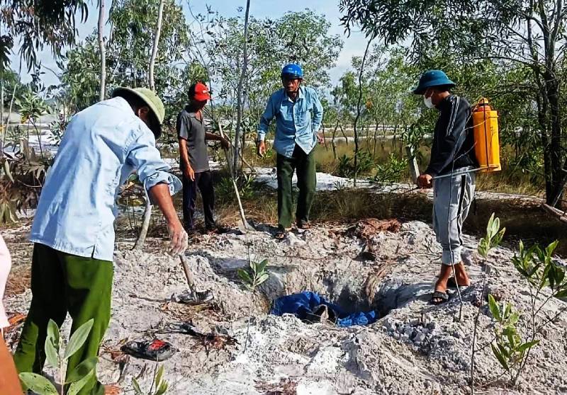 dịch tả lợn châu Phi