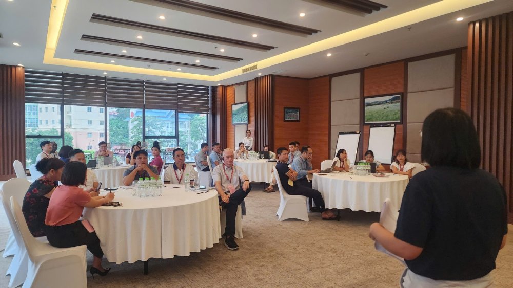 Phân tích hệ thống thị trường bò thịt