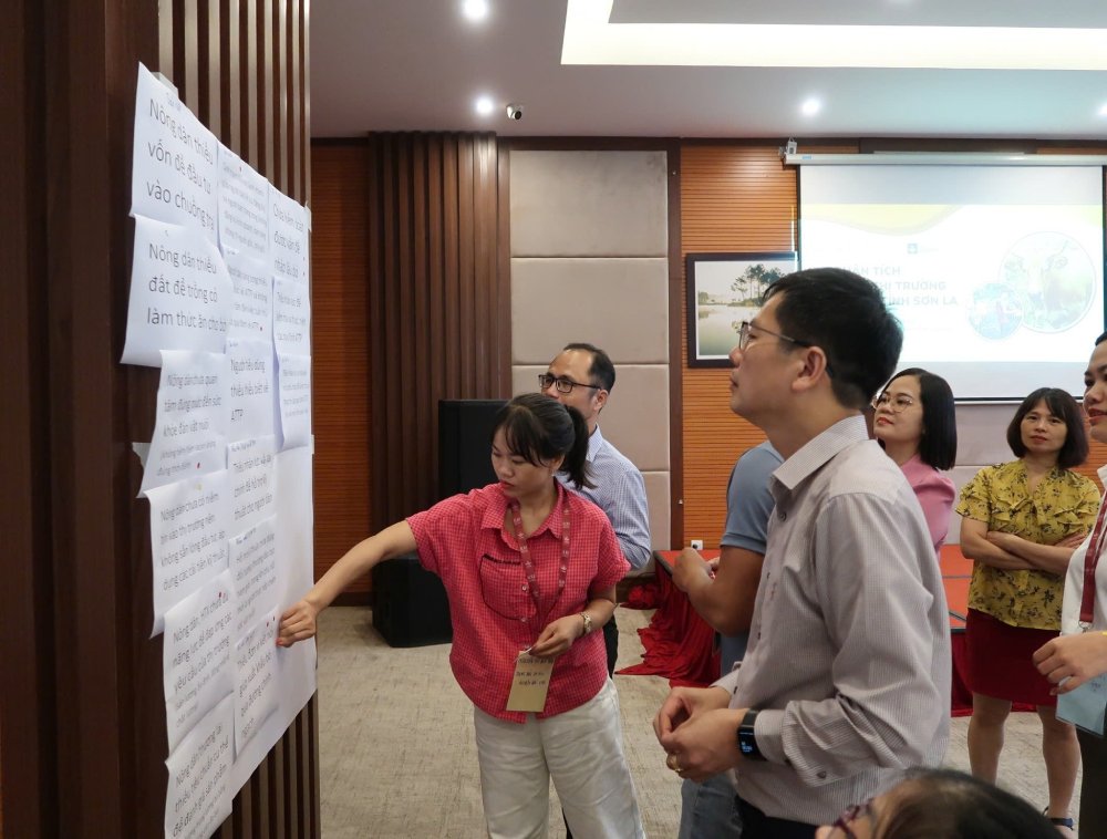 Phân tích hệ thống thị trường bò thịt