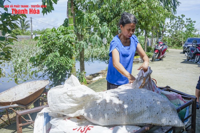 gà bị nước lũ nhấn chìm
