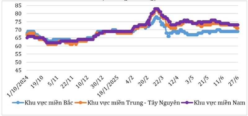 thị trường thịt