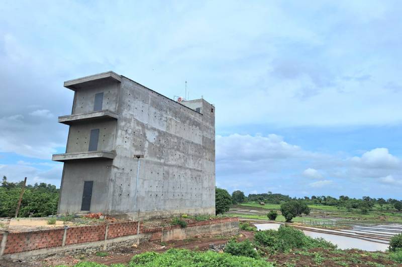 yến xào gia lai
