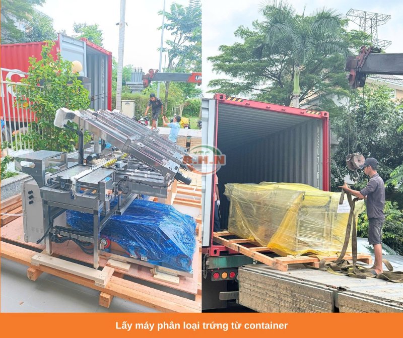 máy phân loại trứng tự động đóng vỉ