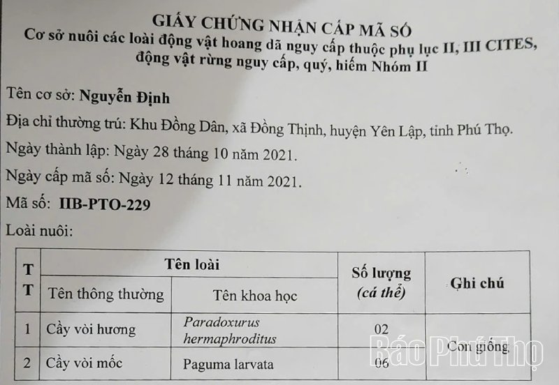 mô hình nuôi cầy vòi mốc