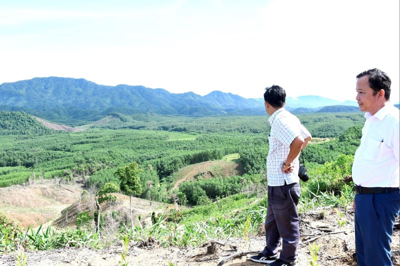 nuôi heo quế lâm