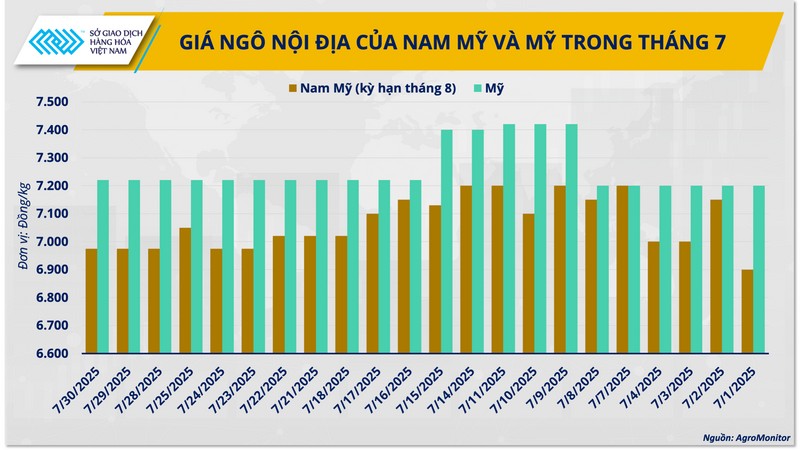 giá ngô nam mỹ