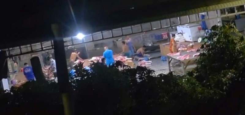 giết mổ gia súc trái phép