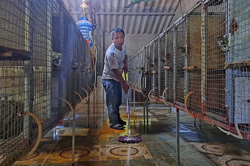 Mô hình nuôi chồn hương