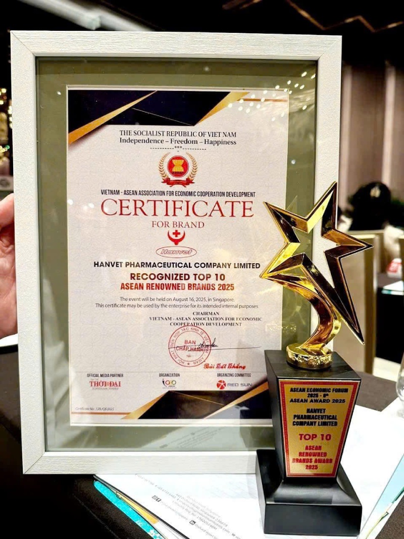 Hanvet top 10 ASEAN 2025