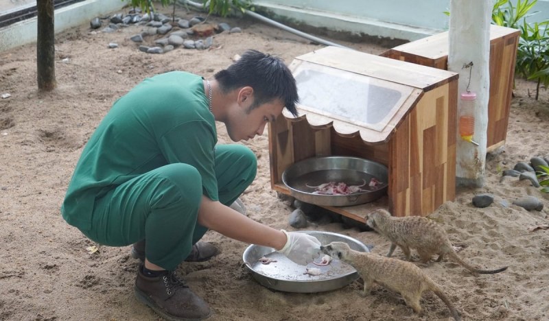 Khoảng trống thú y