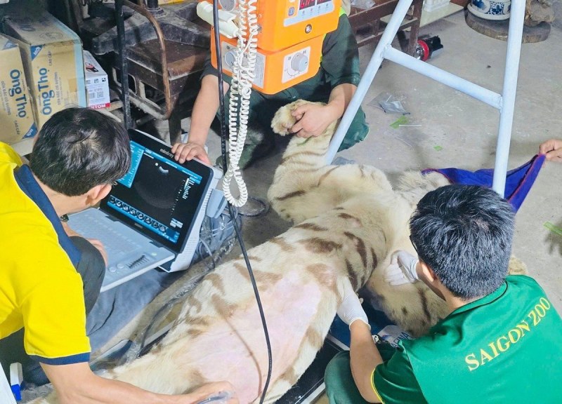 Khoảng trống thú y