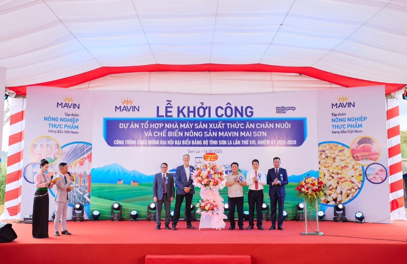 Mavin Mai Sơn