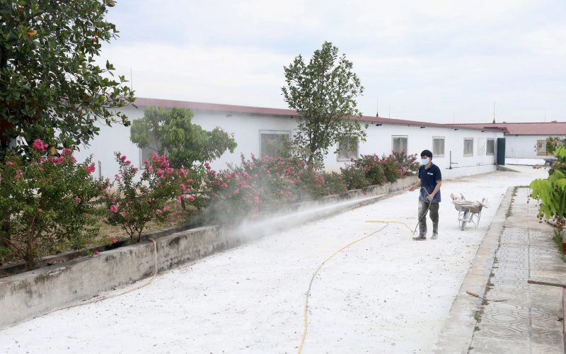 dịch tả phú thọ