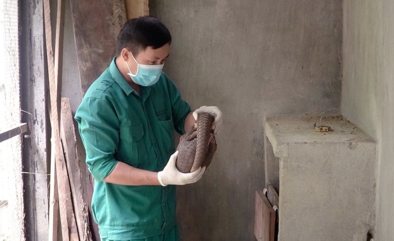 động vật hoang dã