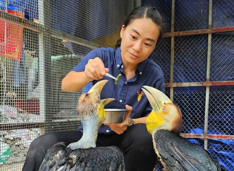 động vật hoang dã