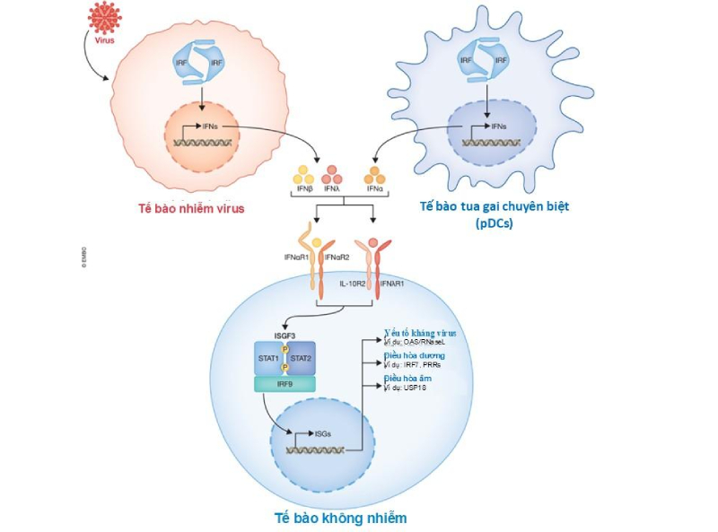 Công nghệ sinh học UV