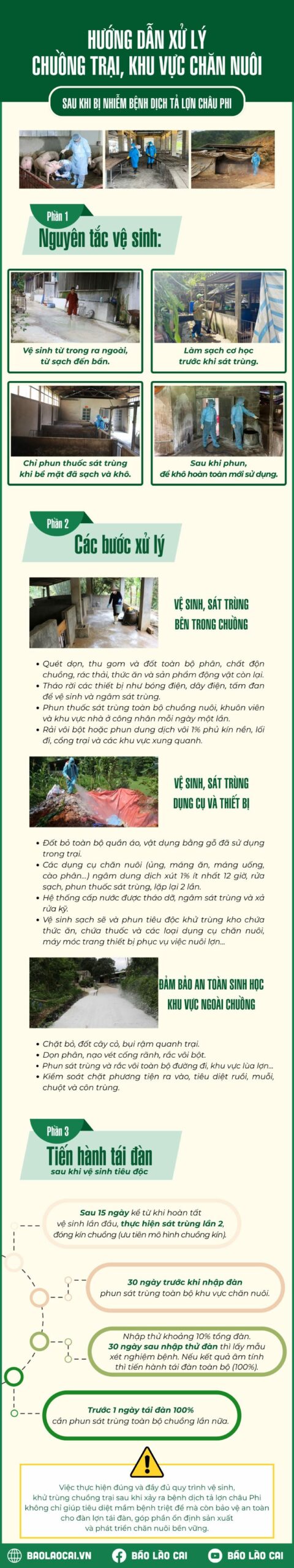 xử lý chuồng trại bị nhiễm bệnh dịch tả lợn châu Phi