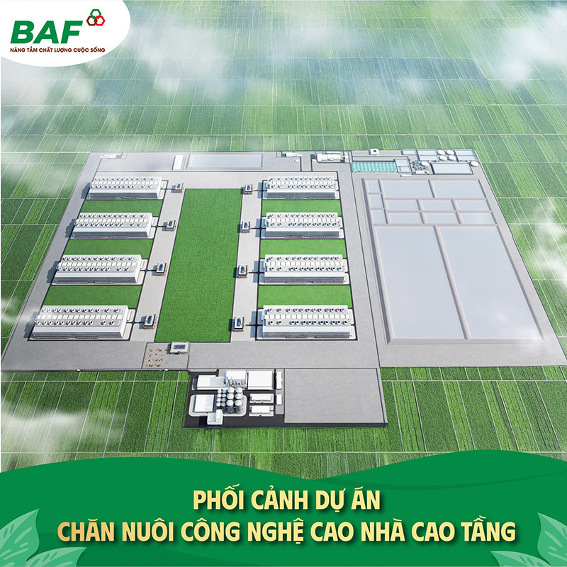 BAF hợp tác Muyuan