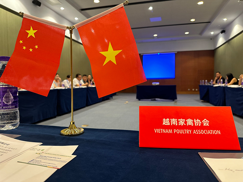 VPA VIV Select China 2025