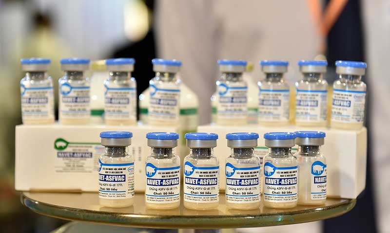 Vaccine dịch tả lợn châu Phi