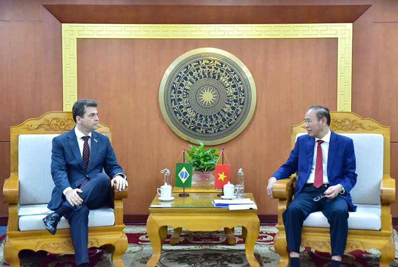 hợp tác chăn nuôi brazil