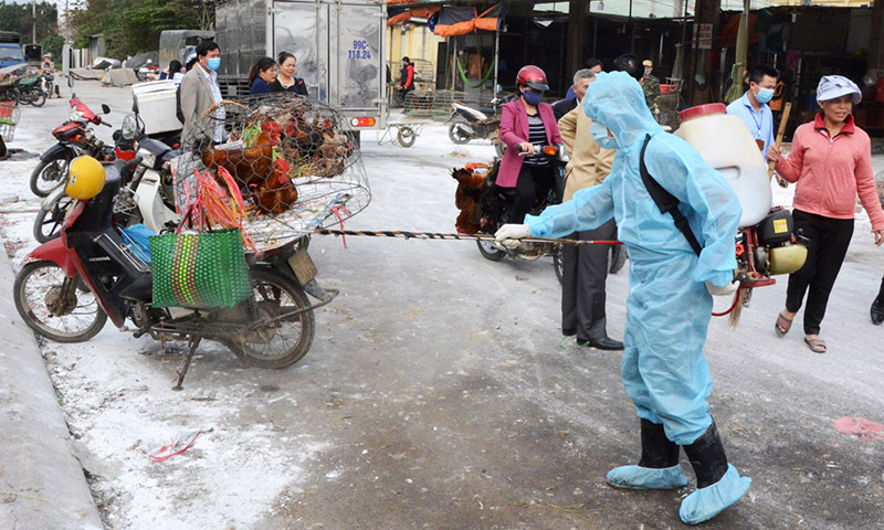 chăn nuôi an toàn