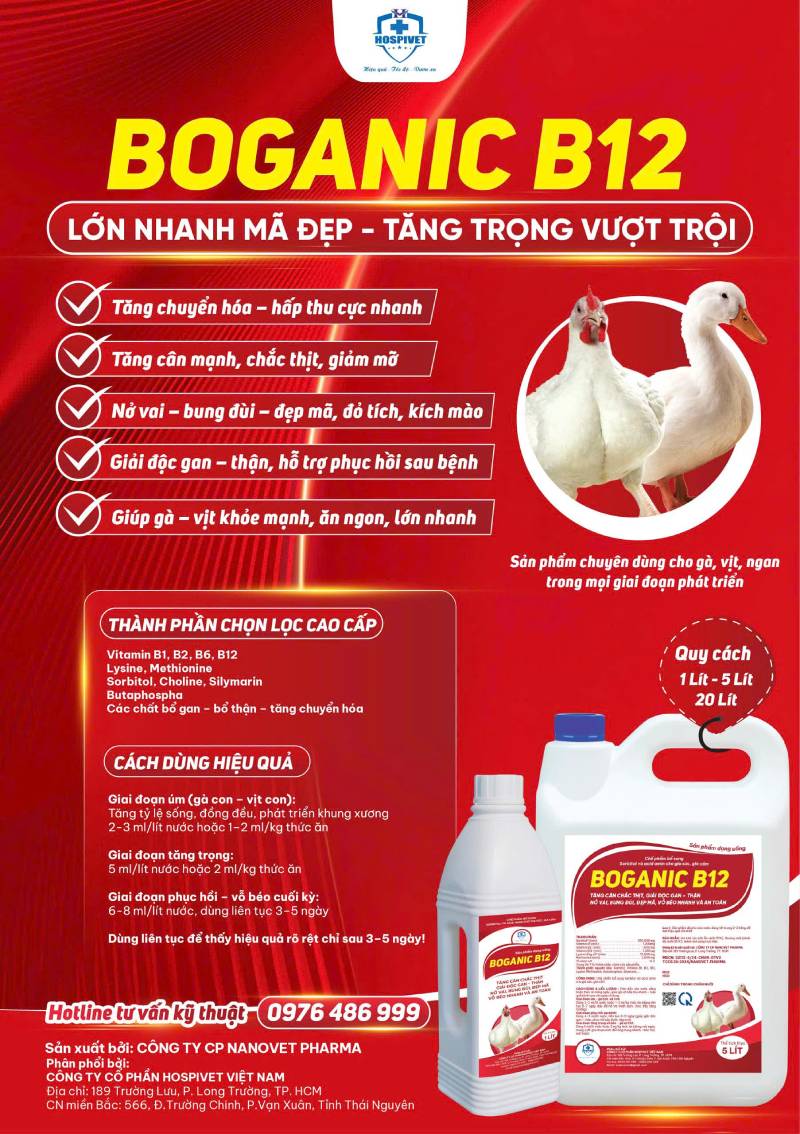 BOGANIC B12
