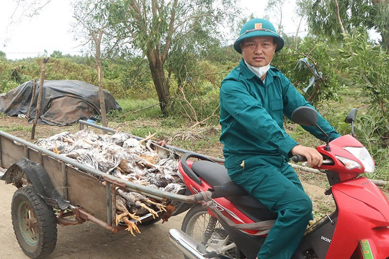 chăn nuôi hà tĩnh