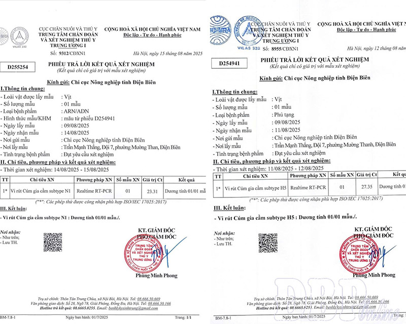 dịch cúm gia cầm