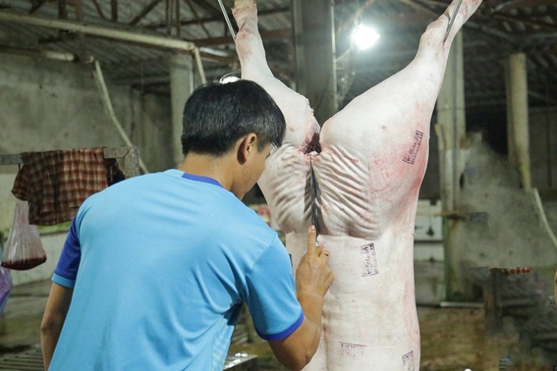thị trường thịt