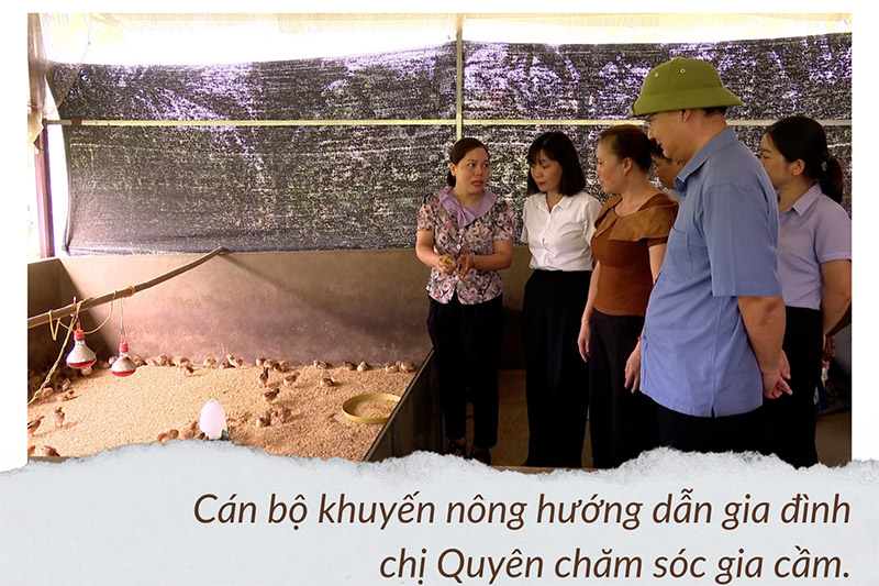 dịch tả lợn châu Phi