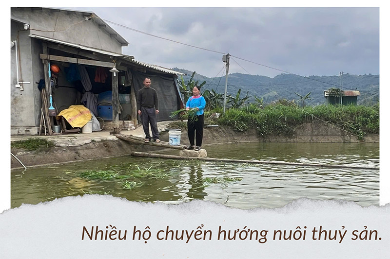 dịch tả lợn châu Phi