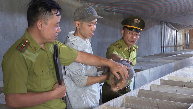 nuôi động vật hoang dã