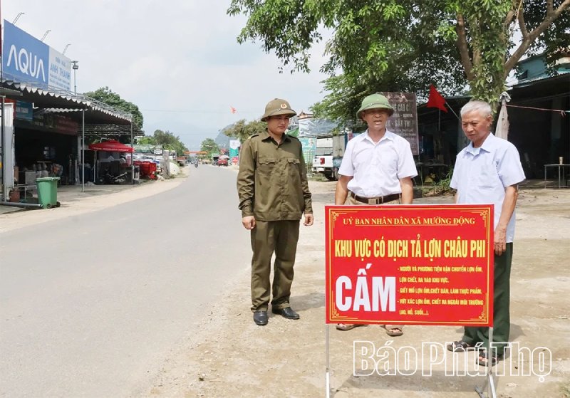 kinh nghiệm phòng chống dịch tả lợn