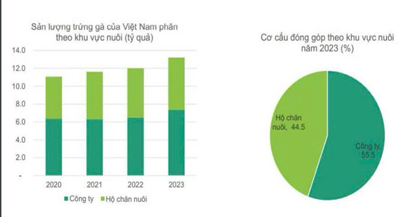 Sản lượng trứng gà của Việt Nam
