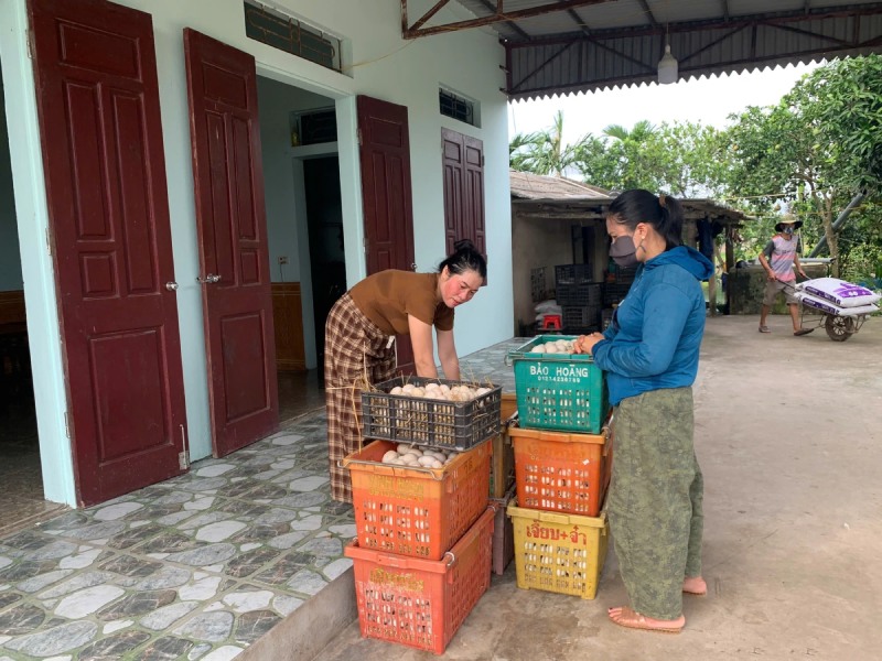 vua vịt