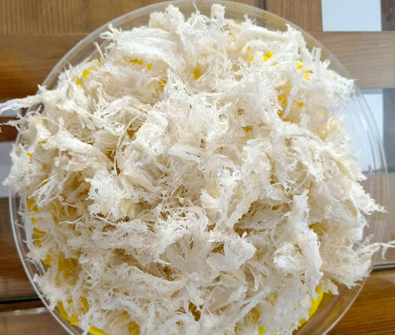 yến sào cà Mau