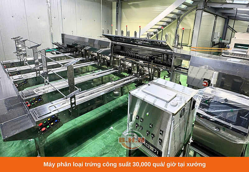 máy phân loại trứng gà