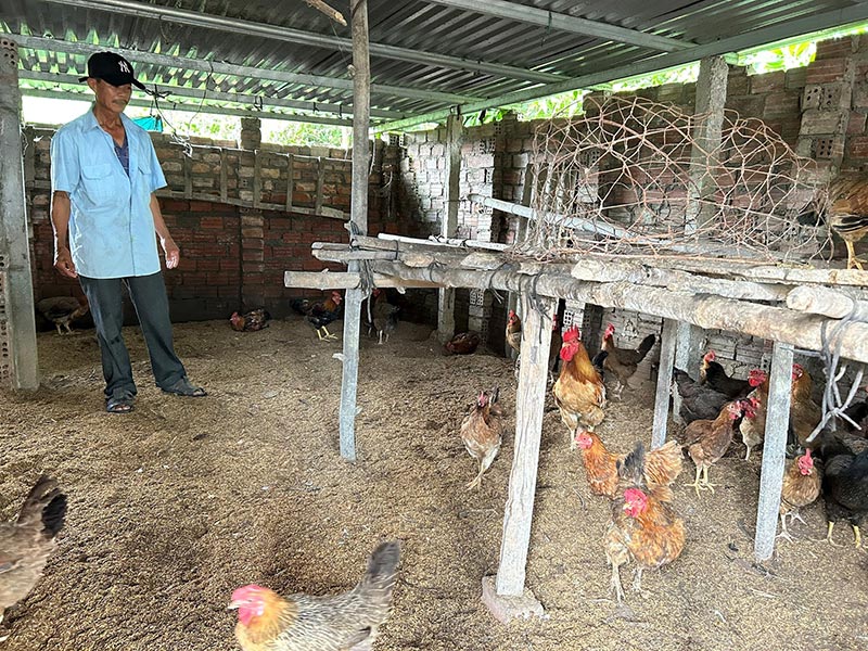 chăn nuôi an toàn