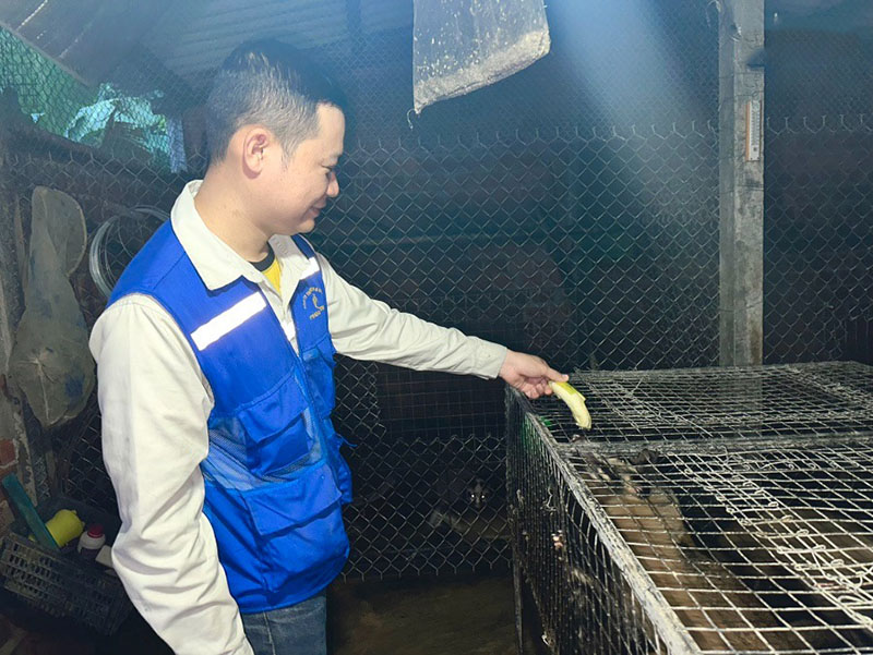nuôi chồn mốc