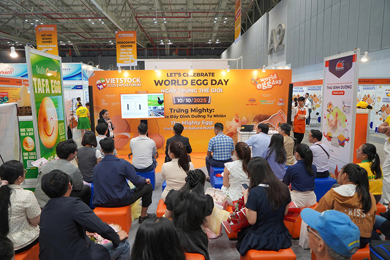 World Egg Day