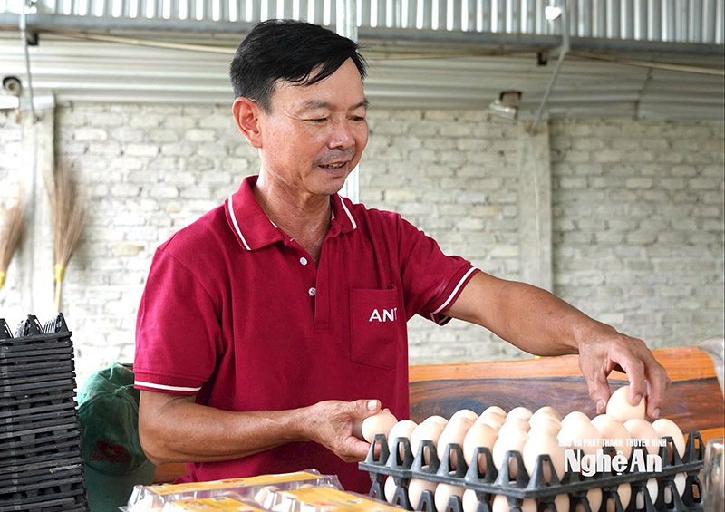 nuôi gà chuồng lạnh