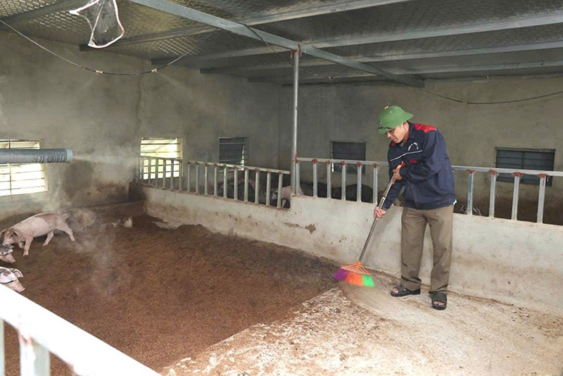 chăn nuôi hướng hữu cơ