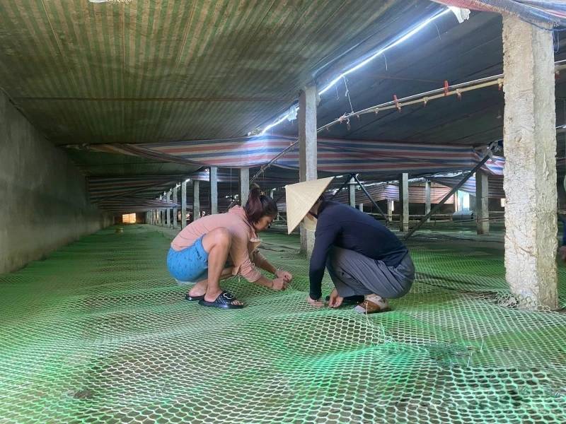 thiệt hại bão số 10