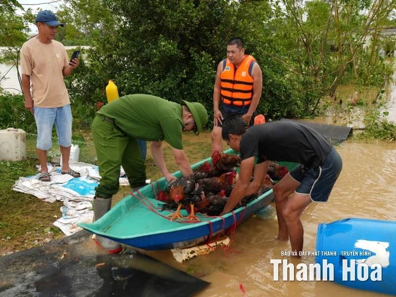 thiệt hại bão số 10