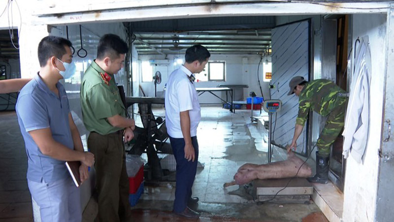 bán heo nhiễm bệnh