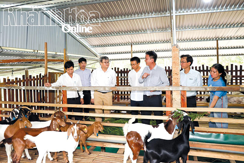 chăn nuôi kết hợp du lịch