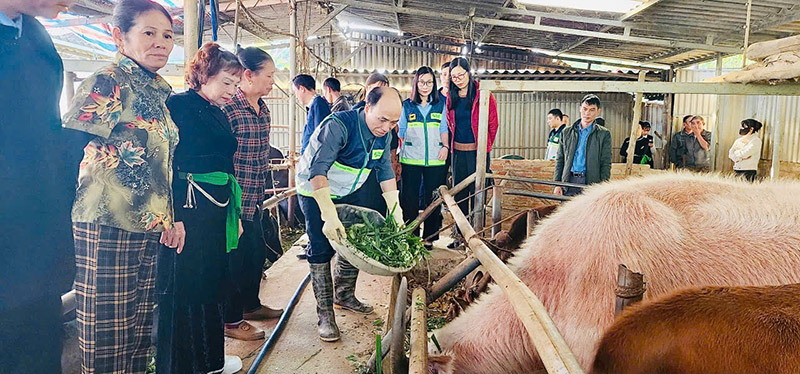 tọa đàm phòng chống rét cho vật nuôi